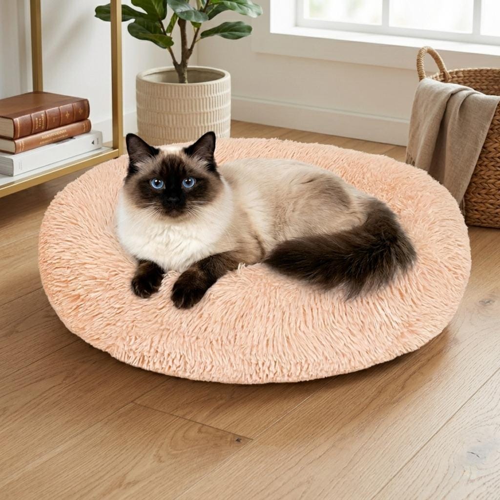 Original Calming Donut Cat Bed - Self-Warming & Washable Soft Plush, 50 cm (20 pouces)
