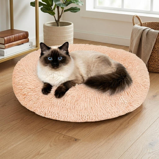 Original Calming Donut Cat Bed - Self-Warming & Washable Soft Plush, 50 cm (20 pouces)