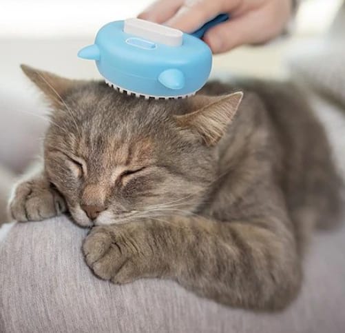 3-in-1 Steamy Cat Brush - Ultimate Grooming & Massage Tool